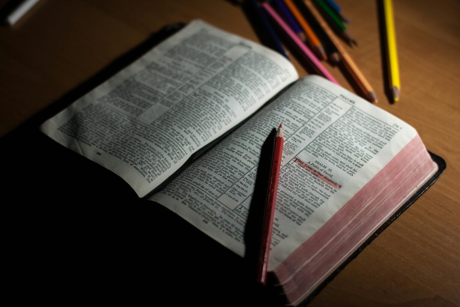 World Poetry Day